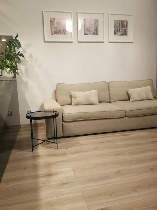 شقة Uroczy, Jasny Apartament Oraz Bezplatny Parking! كراكوفيا المظهر الخارجي الصورة